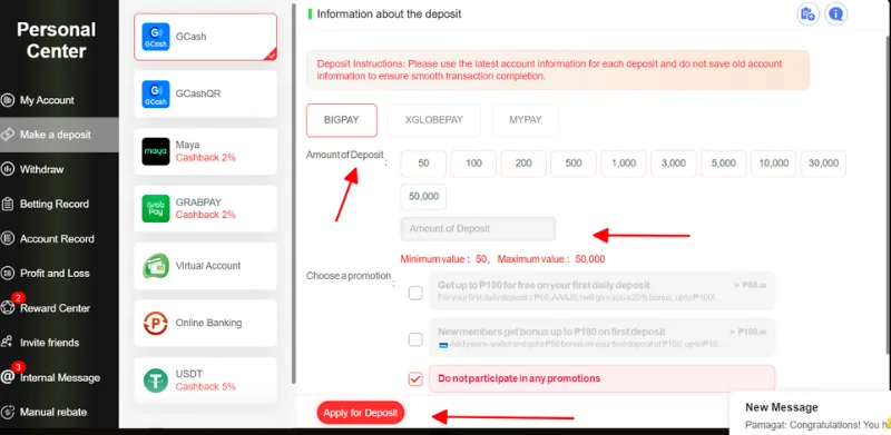 Enter your amount of money you want to deposit to your account